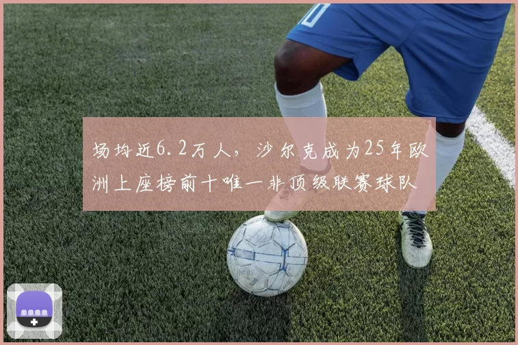 场均近6.2万人，沙尔克成为25年欧洲上座榜前十唯一非顶级联赛球队