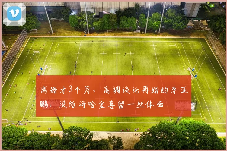 离婚才3个月，高调谈论再婚的李亚鹏，没给海哈金喜留一丝体面